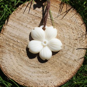 Fleur de frangipanier